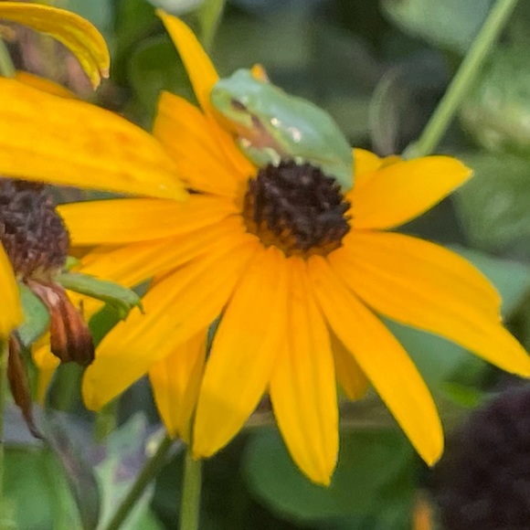 Meet your Posher, Kristen - Picture 1 of 2